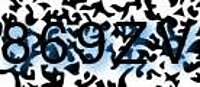 grafischer Sicherheitscode