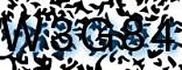 grafischer Sicherheitscode