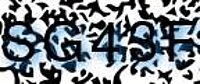 grafischer Sicherheitscode