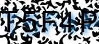grafischer Sicherheitscode