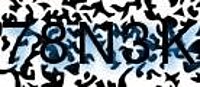 grafischer Sicherheitscode